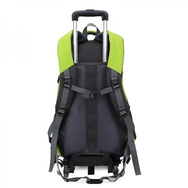 Outdoor Rolling Daypack